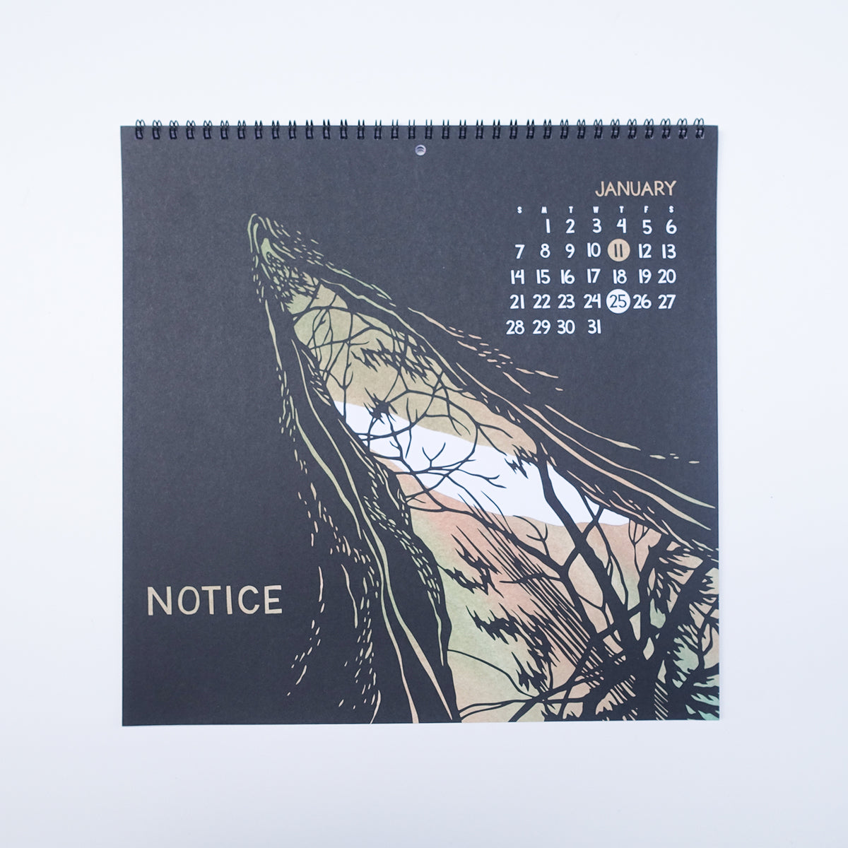 NIKKI McCLURE 2024 CALENDAR "CONNECT" ニキ・マックルーア Riprap (リップラップ) カレンダー