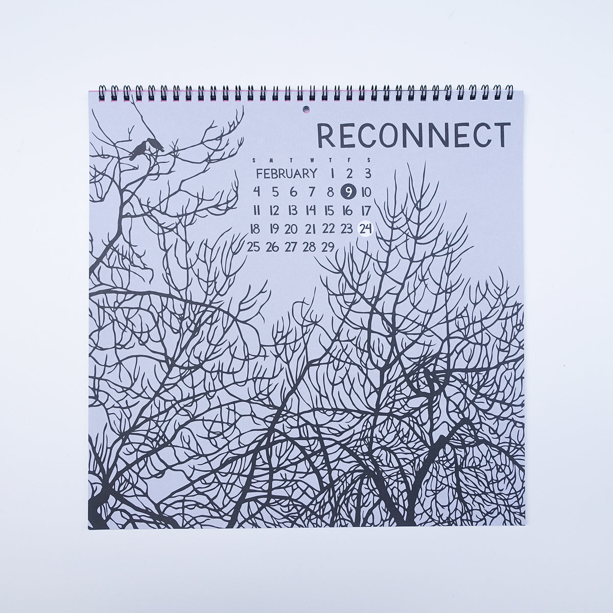 NIKKI McCLURE 2024 CALENDAR "CONNECT" ニキ・マックルーア Riprap (リップラップ) カレンダー