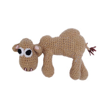 画像をギャラリービューアに読み込む, STUFFED CAMEL