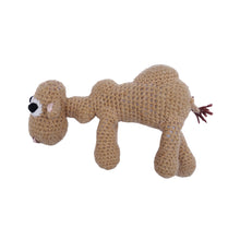 画像をギャラリービューアに読み込む, STUFFED CAMEL