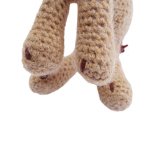 画像をギャラリービューアに読み込む, STUFFED CAMEL