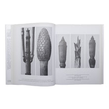 画像をギャラリービューアに読み込む, KARL BLOSSFELDT: URFORMEN DER KUNST WUNDERGARTEN DER NATUR