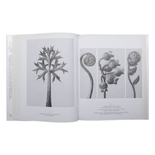 画像をギャラリービューアに読み込む, KARL BLOSSFELDT: URFORMEN DER KUNST WUNDERGARTEN DER NATUR