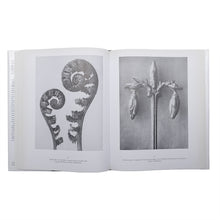 画像をギャラリービューアに読み込む, KARL BLOSSFELDT: URFORMEN DER KUNST WUNDERGARTEN DER NATUR