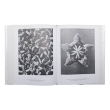 画像をギャラリービューアに読み込む, KARL BLOSSFELDT: URFORMEN DER KUNST WUNDERGARTEN DER NATUR