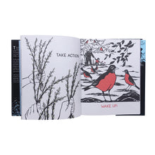 画像をギャラリービューアに読み込む, NIKKI McCLURE: COLLECT RAINDROPS THE SEASONS GATHERED