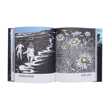 画像をギャラリービューアに読み込む, NIKKI McCLURE: COLLECT RAINDROPS THE SEASONS GATHERED